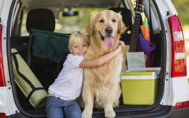 Hond Frankrijk vakantie wandelen luxe villa zwemmen.jpg