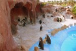 Marineland 3 Villa's du Verdon Frankrijk Provence Antibus vakantiehuis pinguins dieren dolfinarium.j