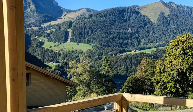 App 6 2 AlpChalets Portes du Soleil Frankrijk Alpen luxe vakantiepark ski resort wellness piste.jpg