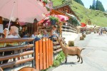 Lindarets 8 Portes du soleil vakantie bij Avoriaz en Morzine geitendorp village des chevres.jpg