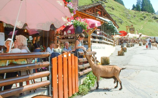 Lindarets 8 Portes du soleil vakantie bij Avoriaz en Morzine geitendorp village des chevres.jpg