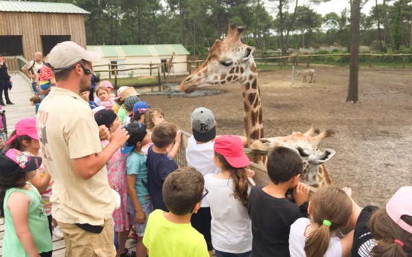 Zoo 8 Arcachon bassin teste buch Frankrijk dierentuin vakantie gids Bordeaux Gironde luxe villa anim