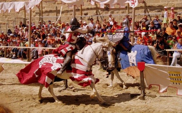 Carcassonne A7 Cite Frankrijk Languedoc cammazes carlat vakantiepark kust zee strand paard villa.jpg