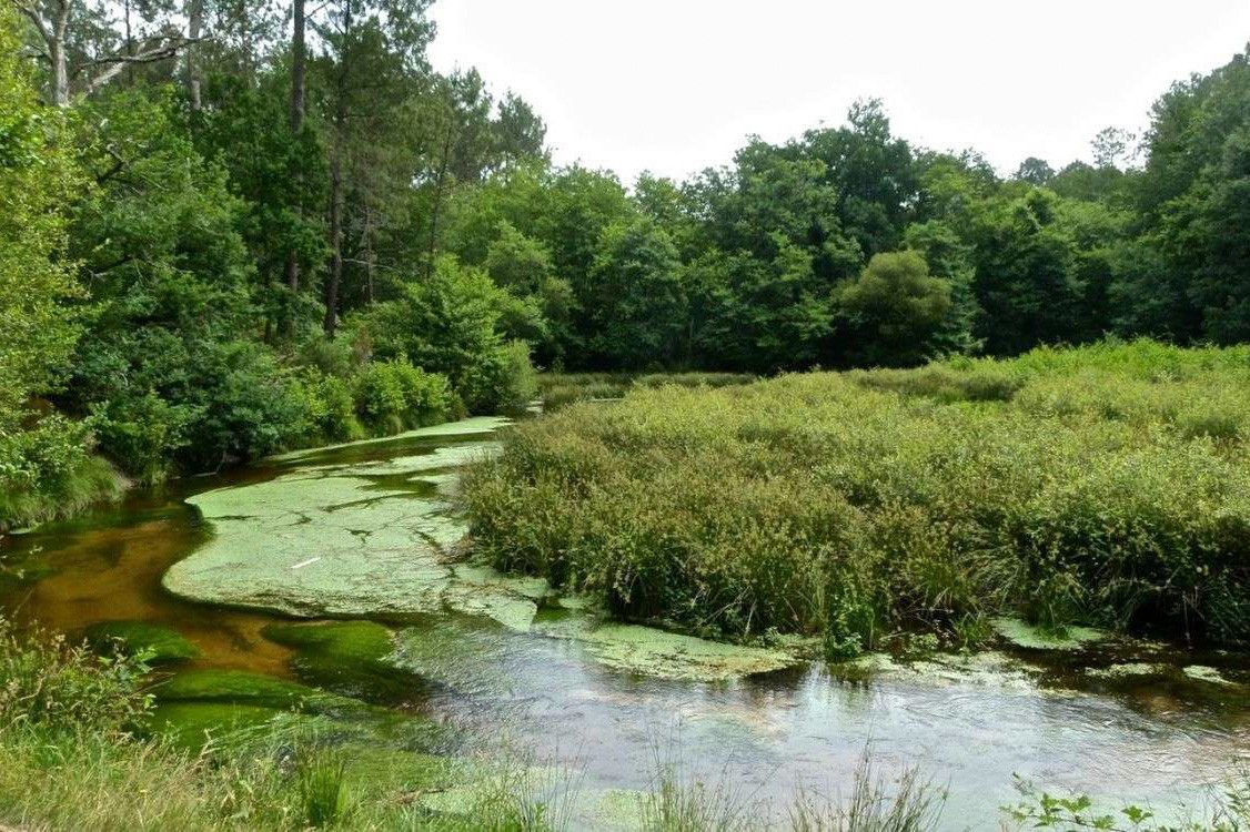 Parc Naturel regional des Landes de Gascogne Holiday parks Parc Naturel regional des Landes de Gascogne Holiday parks
