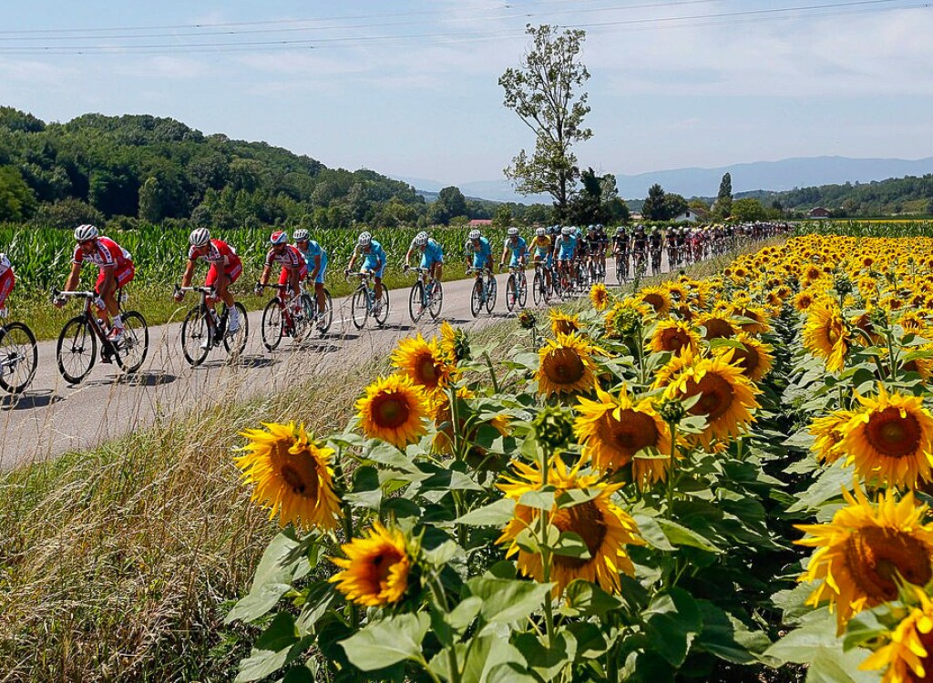 Fietsen Poitou-Charentes 1 zonnebloemen vakantie Frankrijk luxe villa.jpg