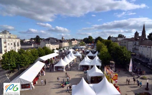 DS 7 Domaine les Forges Frankrijk festivals bois senis  charentes poitou vakantiehuis toerisme.jpg