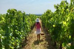 Saint Emilion 25 Frankrijk wijn vakantie unesco toeritisch luxe villapark chateau de salles.jpg
