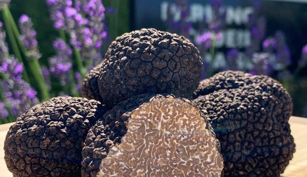 Regionale producten 11 Provence Frankrijk Cote d Azur Truffel vakantie luxe villa.jpg