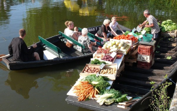 DS 4 Domaine les Forges Frankrijk festivals bois senis  charentes poitou vakantiehuis toerisme marai
