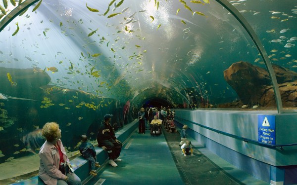 Rochelle Aquarium 13 Frankrijk vakantie kust zee zwemmen atlantisch haven strand forges.jpg