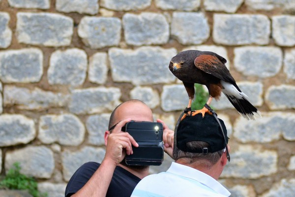 Geants du ciel 15 roofvogels chauvigny Poitiers Frankrijk chateau vakantie show gezin.jpg