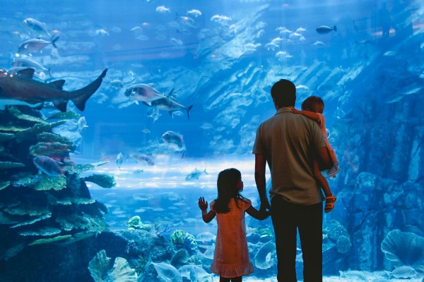 Dierenpark 8 Poitou-Charentes aquarium La Rochelle vakantie Les Forges Frankrijk gezin met kinderen.