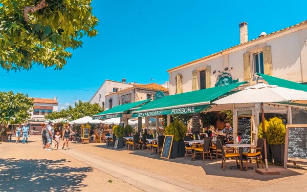 Camargue 5 Frankrijk vakantie flamingo paard Arles Rhone Provence.jpg
