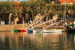 Collioure 20 port Frankrijk vakantie park strand middellandse zee espinet quillan toerisme cote verm