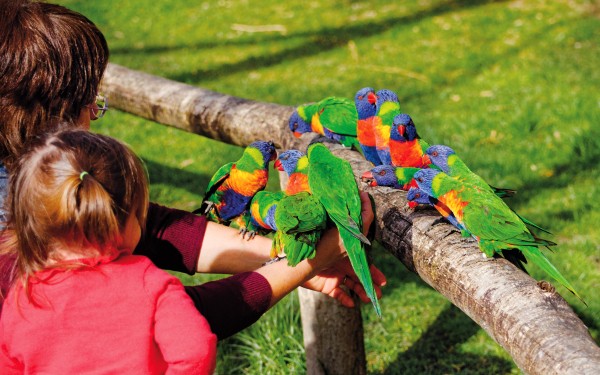 Zoo 16 Arcachon bassin teste buch Frankrijk dierentuin vakantie Bordeaux Gironde luxe villa animatie