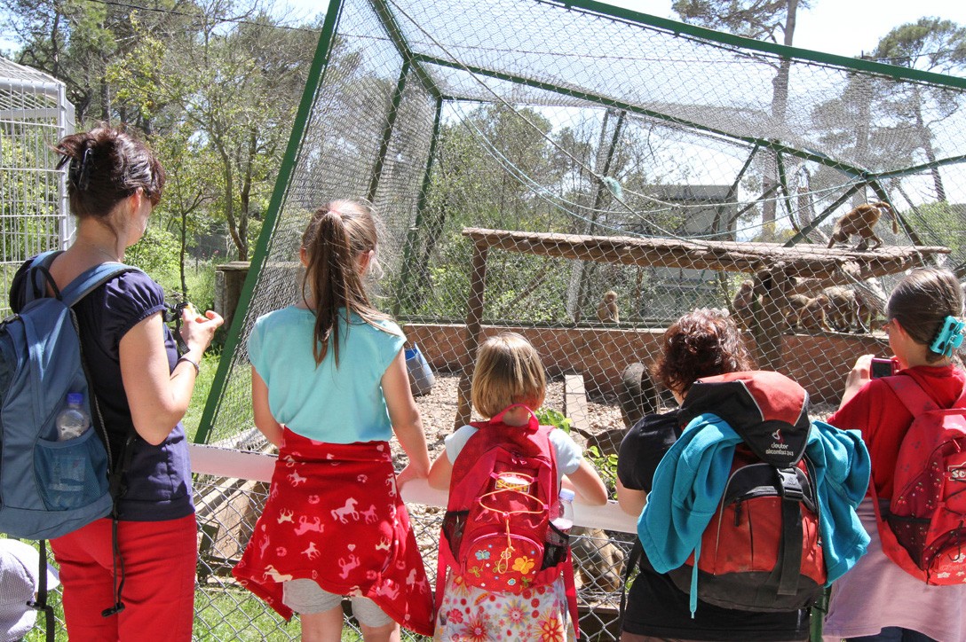 Zoo Fauverie on Mont Faron in