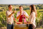 Frankrijk 1 kwaliteit label vakantie toerisme Vignobles & Découvertes wijngaard proeverij.jpg