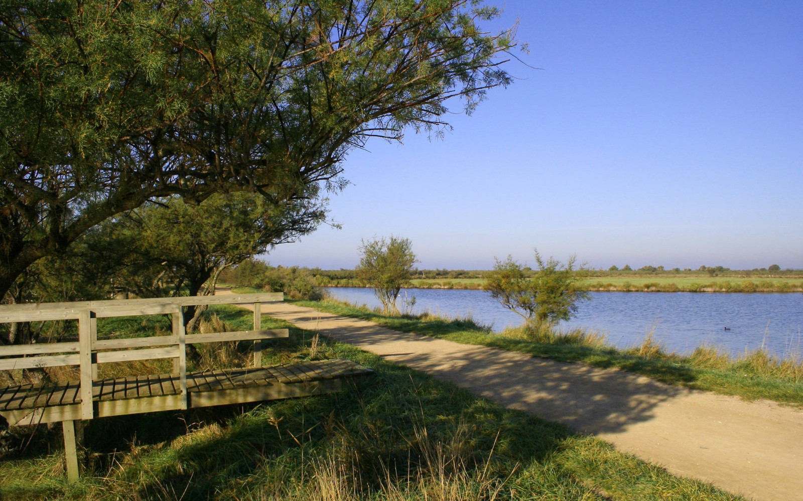 Parc Naturel regional des Landes de Gascogne Holiday parks Parc Naturel regional des Landes de Gascogne Holiday parks