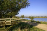 Landes 3 parc naturel Gascognes Frankrijk vakantie regio luxe villa toerisme bos wandelen fietsen.jp