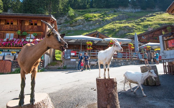 Lindarets 12 Portes du soleil vakantie bij Avoriaz en Morzine geitendorp village des chevres.jpg