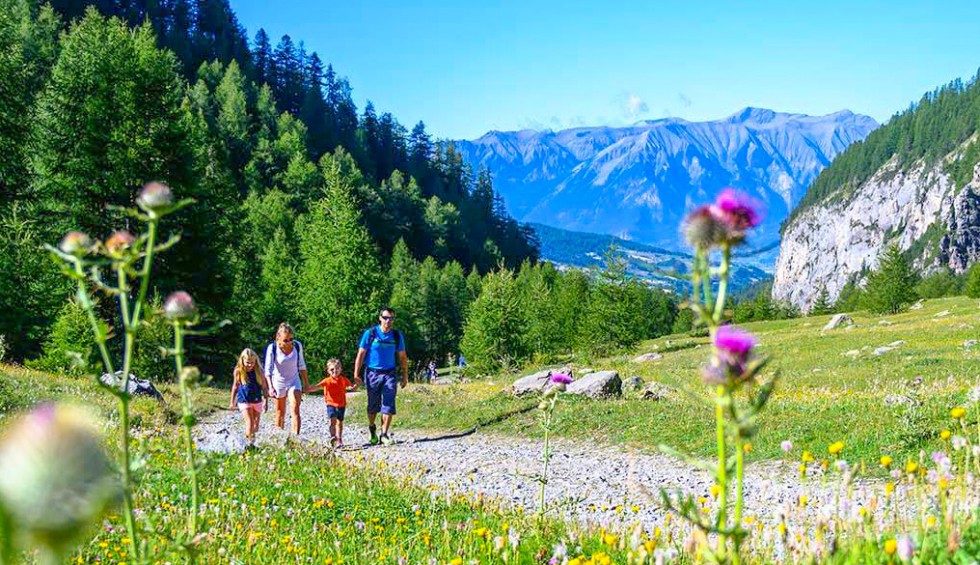 P22b Pyreneeen vallei Languedoc Frankrijk vakantie wandelen bergen natuur hiking.jpg