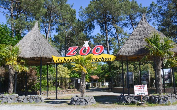 Poney  Zoo du Bassin d'Arcachon