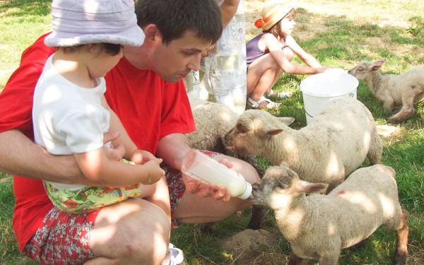 Mouton Village 9 Vasles Frankrijk vakantie Forges schapen park kinderen.jpg