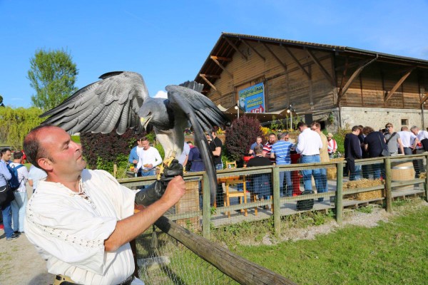 Roofvogels 9 lac leman meer geneve sciez show winter morzine adelaar valk.jpg