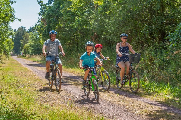 Marais 9S Poitevin Niort mouille vakantie Frankrijk moeras parc naturel coulon.jpg
