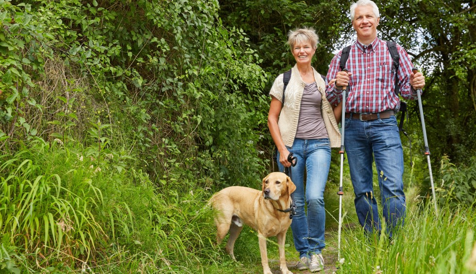 Hond K vakantie Frankrijk wandelen natuur gezin.jpg