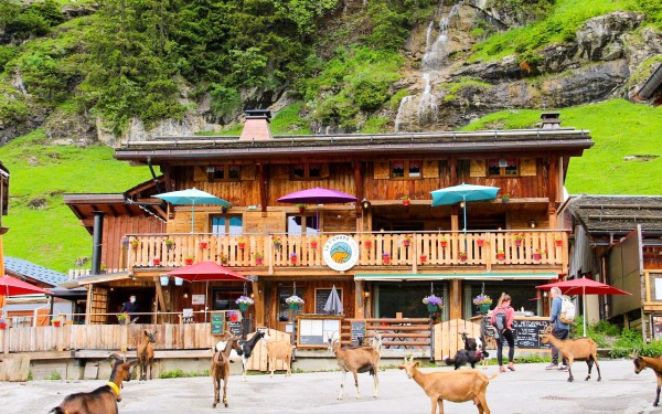 Lindarets 17 Portes du soleil vakantie bij Avoriaz en Morzine geitendorp village des chevres.jpg