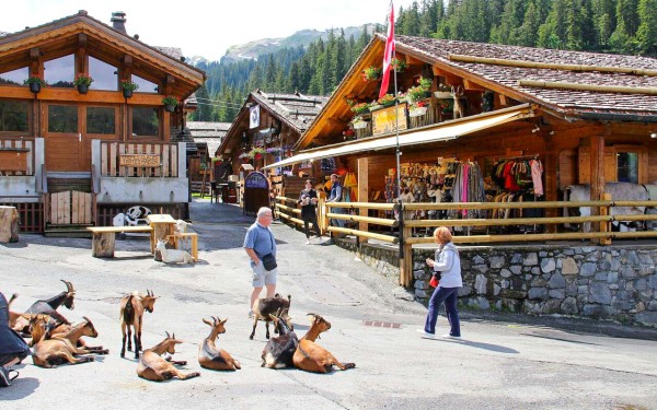 Lindarets 2 Portes du soleil vakantie bij Avoriaz en Morzine geitendorp village des chevres.jpg