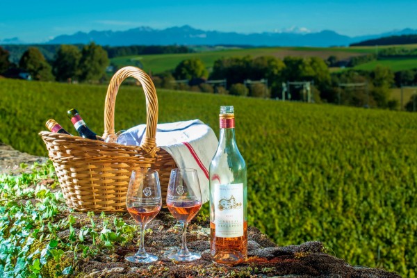Wijn 2 Frankrijk Provence Bordeaux Dordogne Languedoc Lot proeverij druiven vakantie.jpg