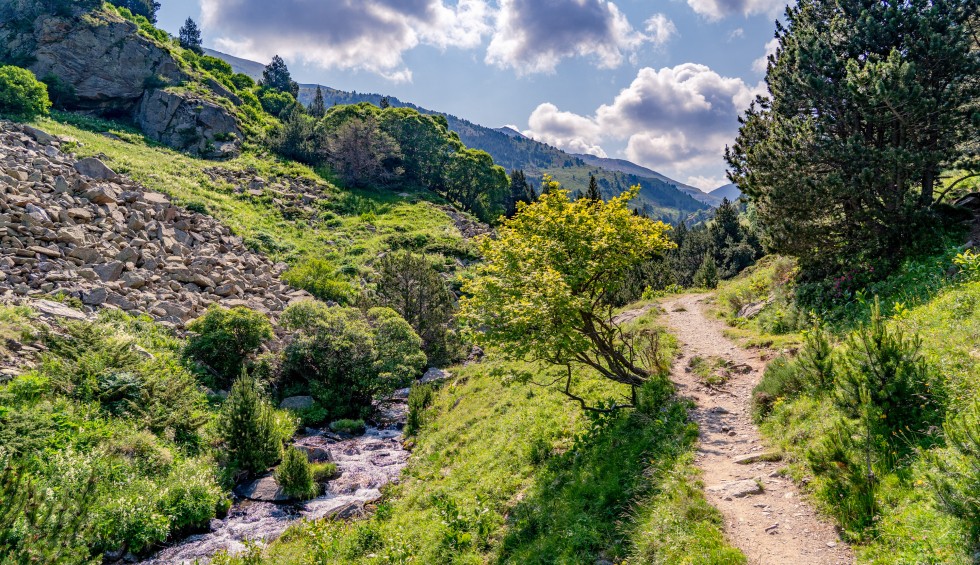 P14 Pyreneeen eyne vallei Languedoc Frankrijk vakantie wandelen bergen natuur.jpg