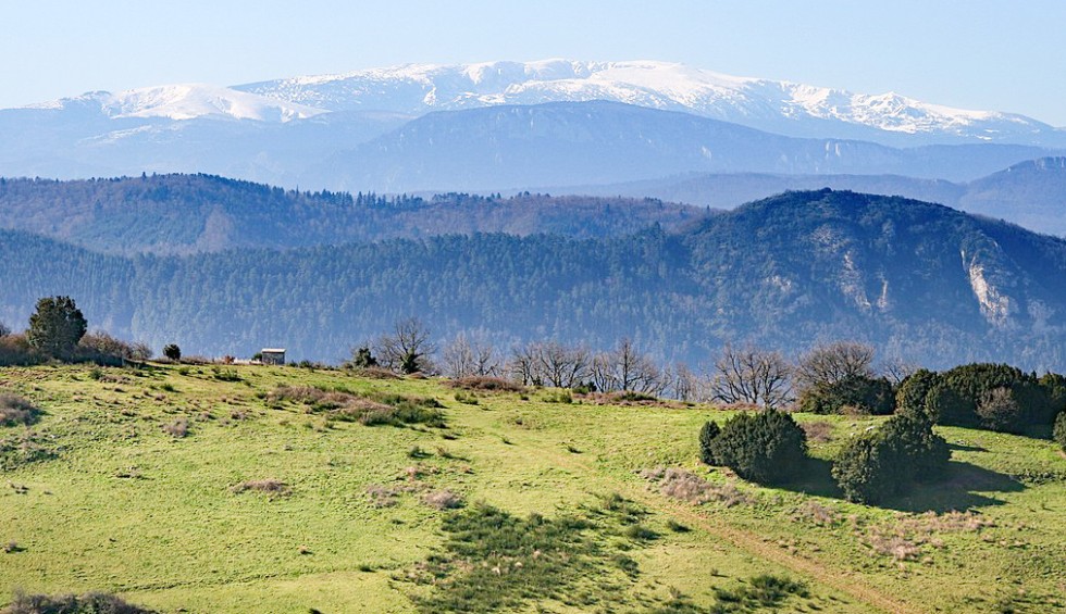 P23c Pyreneeen Madres Pic Aude Languedoc Frankrijk vakantie wandelen bergen natuur.jpg