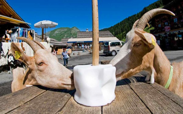 Lindarets 15 Portes du soleil vakantie bij Avoriaz en Morzine geitendorp village des chevres.jpg