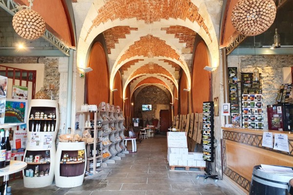 Wijn Languedoc 10a Roussillon zuid Frankrijk minervois druiven vakantie aoc.jpg
