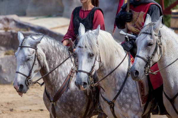 Durandal 5 parc Rocamadour Frankrijk vakantie animatie paarden show.jpg