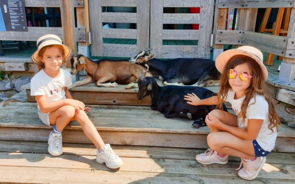 Lindarets 16 Portes du soleil vakantie bij Avoriaz en Morzine geitendorp village des chevres.jpg