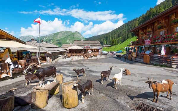 Lindarets 14 Portes du soleil vakantie bij Avoriaz en Morzine geitendorp village des chevres.jpg