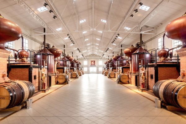 Cognac 11a Frankrijk vakantie comfort Charente likeur wijn luxe villa tour champagne.jpg
