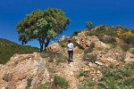 Saint Tropez 18a St. Frankrijk Bardot Provence cote d azur vakantie luxe villa Middellandse zee priv