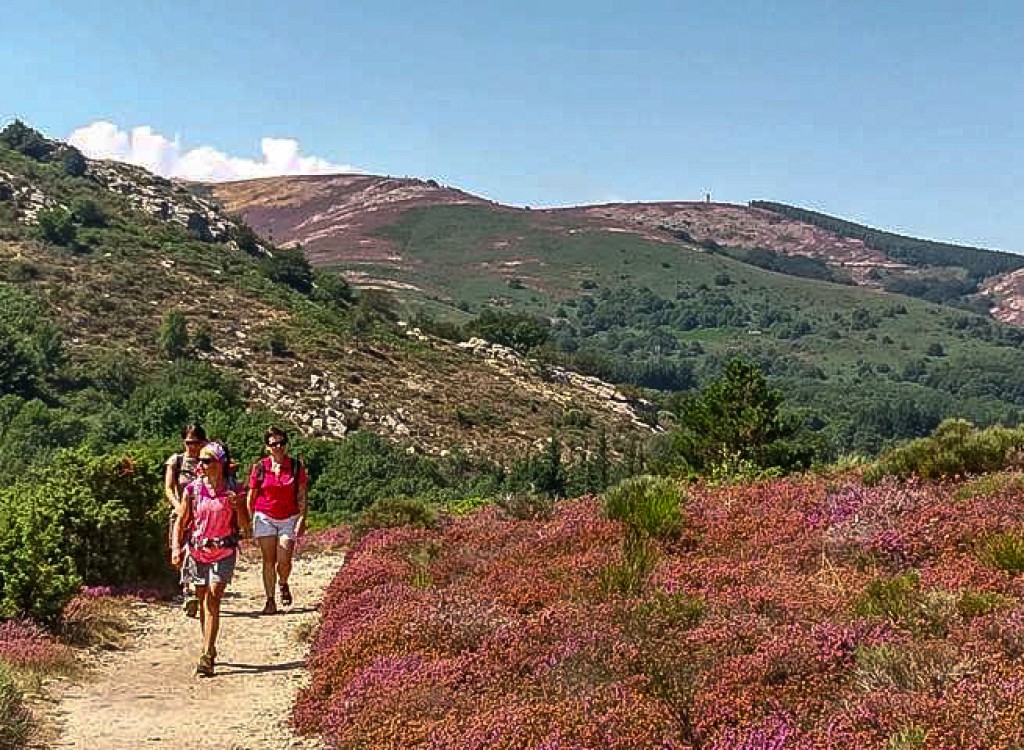 Languedoc 2 vakantie in Zuid Frankrijk aan de Middellandse Zee.jpg