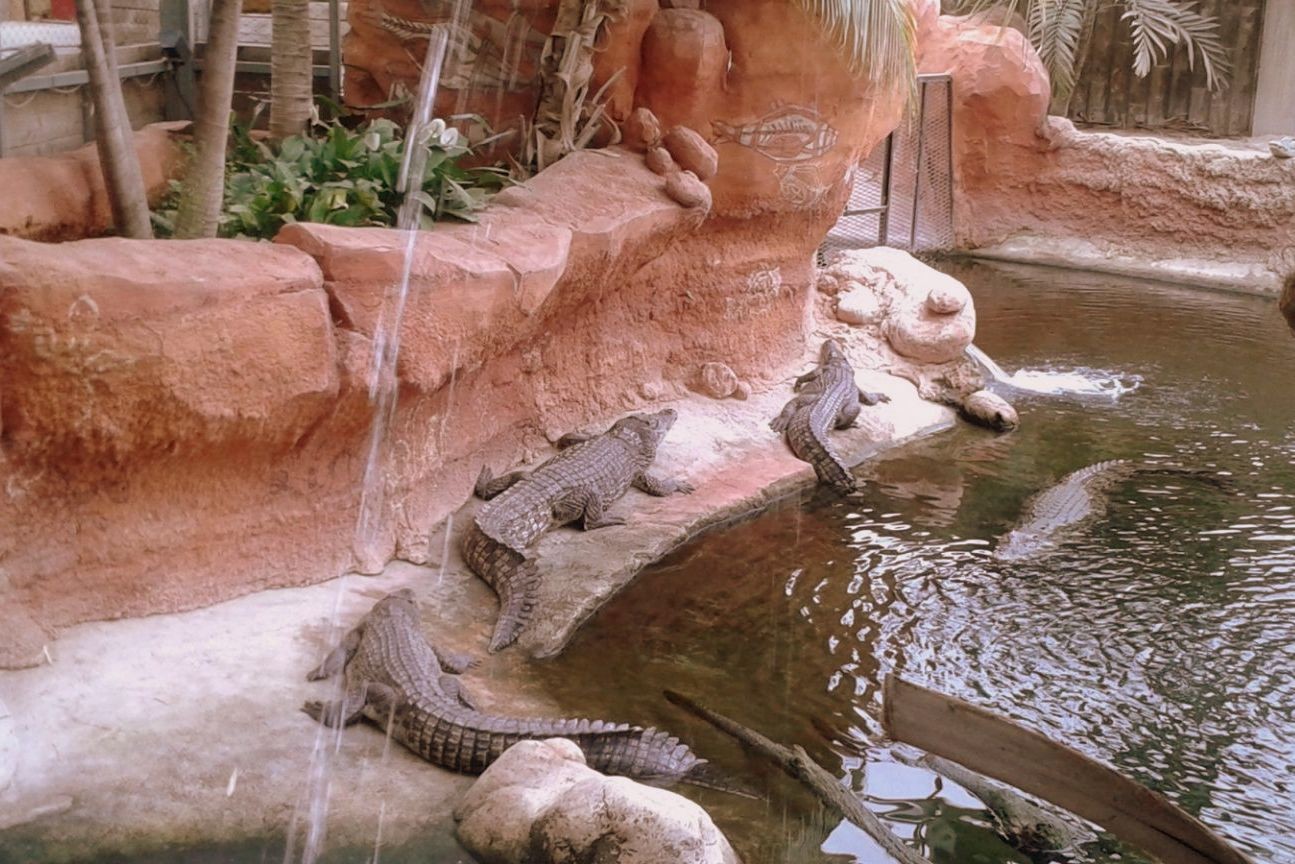 des Crocodiles Holiday parks des Crocodiles Holiday parks