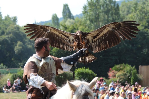 Roofvogels 4 lac leman meer geneve sciez show winter morzine adelaar valk.jpg