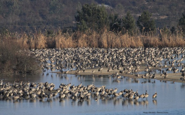 Landes 7 parc naturel Gascognes Frankrijk vakantie regio luxe villa toerisme bos wandelen fietsen.jp