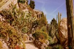 Monaco 6 Villa's du Verdon vakantievilla luxe Frankrijk toerisme tuin garden grace.jpg