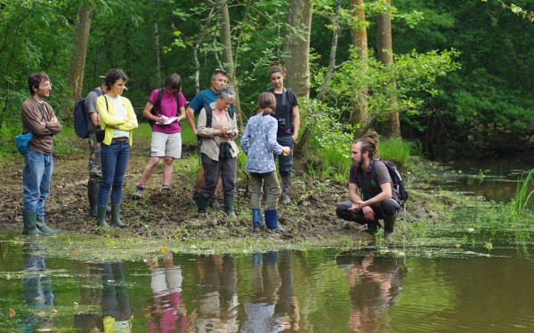 Landes 11 parc naturel Gascognes Frankrijk vakantie regio luxe villa toerisme bos wandelen fietsen.j