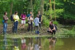 Landes 11 parc naturel Gascognes Frankrijk vakantie regio luxe villa toerisme bos wandelen fietsen.j
