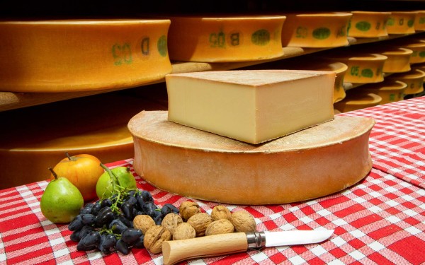 Fromage 1 Abondance kaas ferme boerderij vakantie Portes du Soleil Savoie FranceComfort.jpg